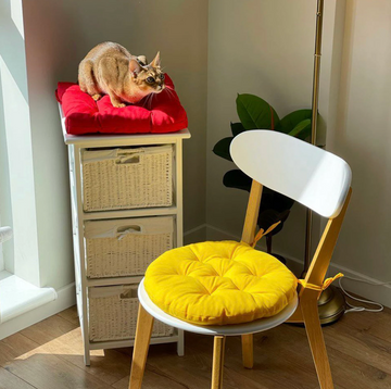 Round Yellow Chair Cushion for Your Home